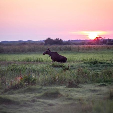 Domek Blisko Biebrzy Radzilow Bagian luar foto