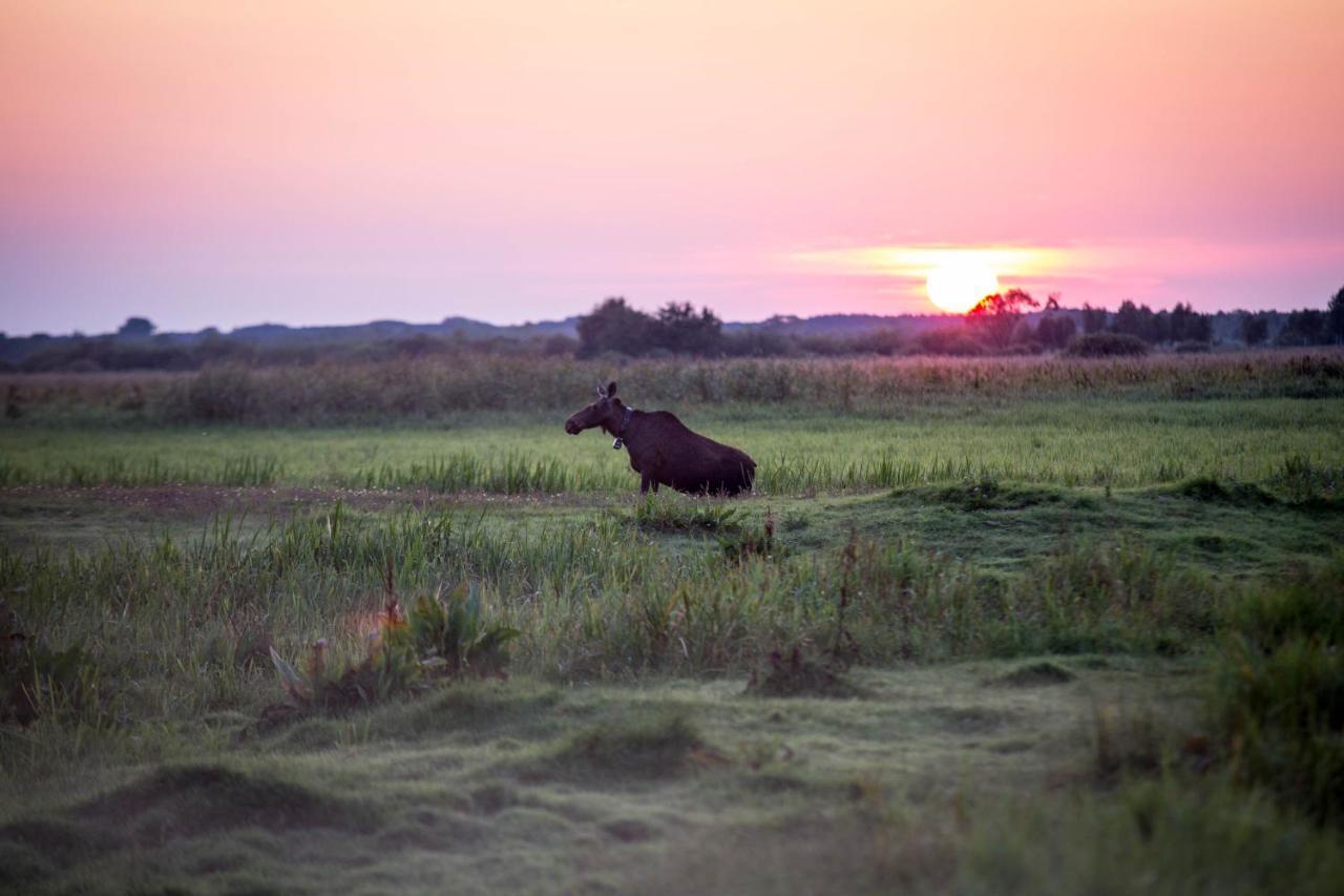 Domek Blisko Biebrzy Radzilow Bagian luar foto