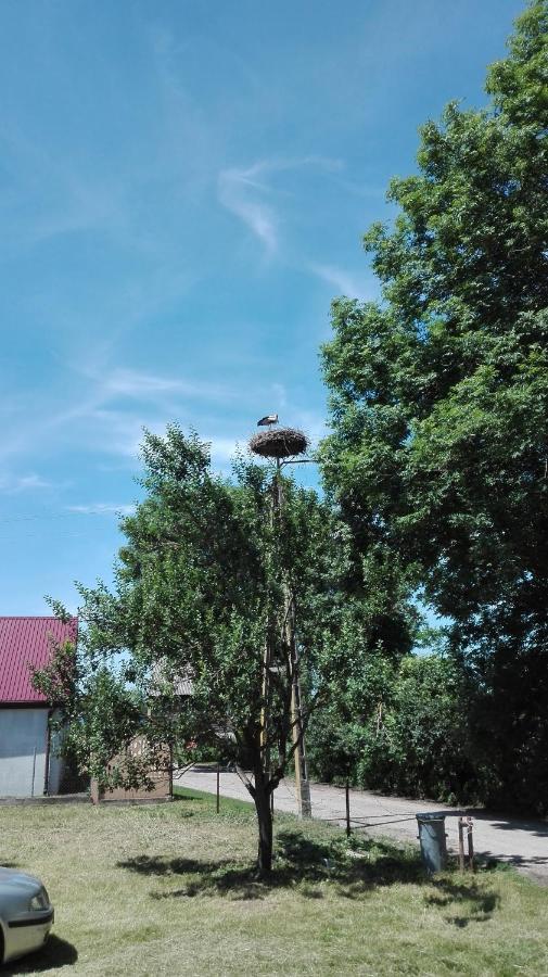 Domek Blisko Biebrzy Radzilow Bagian luar foto